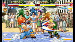 画像ギャラリー No.014のサムネイル画像 / 「ウルトラストリートファイターII」は単なる移植ではない「ストリートファイターII」シリーズの最新作。ゲームバランスは再調整され,協力プレイも楽しめる