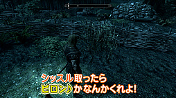 ꡼ No.004Υͥ / Webȡ֤楢ե ԡפȡȥեƬˡɥȡƥܥƣķΥץ쥤Ҥѻ