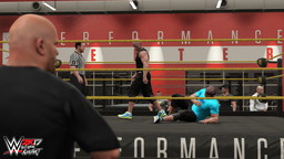 ꡼ No.020 | ץ쥹WWE 2K17פPCǤȯ䡣꡼Υ¿οƥबɲä줿Creation Suite