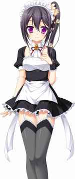 ꡼ No.005Υͥ / PS Vitaɥ٥㡼ֲֺץ󥰡פ427ȯꡣͩפĹȥҥãͤ