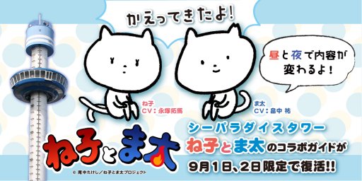 ꡼ No.002 | ˥䥲Υܥ٥ȡ֥ե in ѥסȬˤ912˳