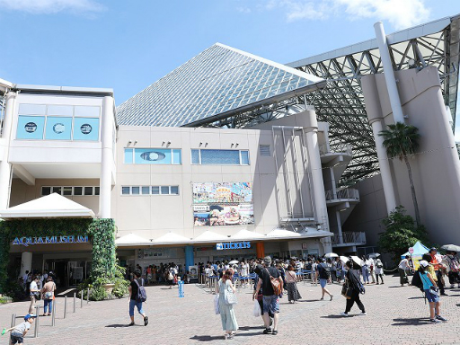 ꡼ No.008 | ֥ɥե Big Halloween Party!1θݡȤ塣292829˳