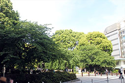 画像ギャラリー No.034のサムネイル画像 / 「仮面女子」の神谷えりなさん,ゴー☆ジャスさんもリアル謎解きゲームに挑戦! 「八百万クエスト」メディア向け体験会をレポート