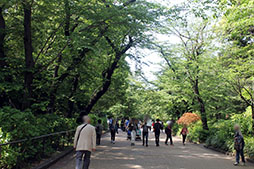 画像ギャラリー No.035のサムネイル画像 / 「仮面女子」の神谷えりなさん,ゴー☆ジャスさんもリアル謎解きゲームに挑戦! 「八百万クエスト」メディア向け体験会をレポート