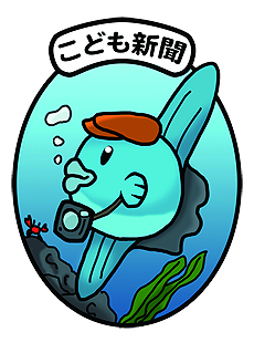 ꡼ No.012Υͥ / ɥܥå֥塼֥ꥨDXפȯ䡣֥塼֥ꥨ3Dפ˥ޥץ쥤ۤ¿οǤɲ