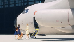 ꡼ No.003 | TGS 2017ϡ֥Хå7פʪñ襤ǤϤʤP˥ȡ꡼γפо쥭饯δطʤɤʹ