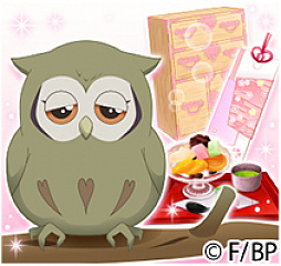 ꡼ No.002 | 쥷פƤTV˥BAKUMATSU饤פϵǰڡ44곫