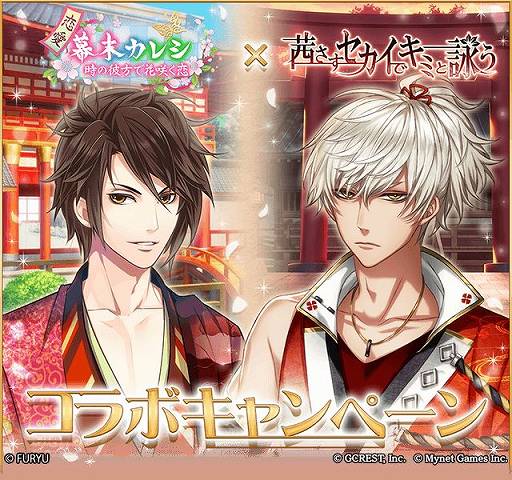 ꡼ No.001Υͥ / 쥷סߡ֥ץܤ