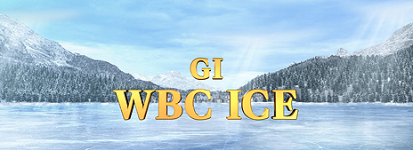 ꡼ No.008 | JAEPO2017϶ϥ륲ǿStarHorse3 SeasonVIפĿͤĺܻؤƥĤSeasonVǤϥϥȤΥܤ