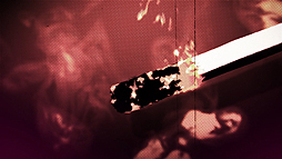 ꡼ No.009Υͥ / õ ܻϺ GHOST OF THE DUSKפΥץ˥󥰱ƥȤǤϿܻϺ򡦾ϺΥܥå