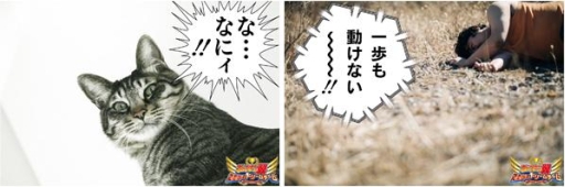 ꡼ No.003 | ֥ץƥ ɥ꡼פλϿԿ߷200ͤˡⶶ۰줵Υ󿧻椬륭ڡ»