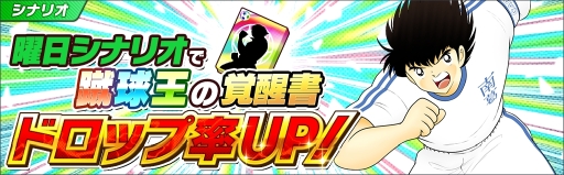 ���������꡼ No.007�Υ���ͥ������ / �֥���ץƥ��� �����������ɥ꡼���������פ���������1000��DL���ˡ���ǰ�Υ����ڡ��󤬳���