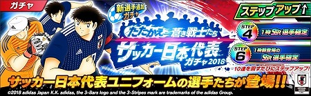 ꡼ No.005 | ֥ץƥ ɥ꡼ס1ǯǰΥڡ򳫺