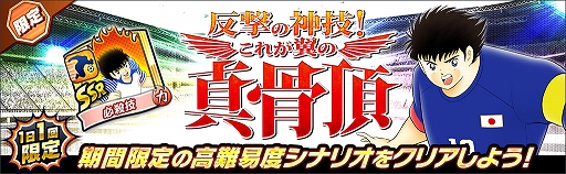 ꡼ No.007 | ֥ץƥ ɥ꡼סɥɥ꡼७ڡ򳫺