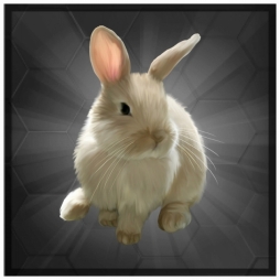 画像ギャラリー No.005のサムネイル画像 / 「SOCCER LOVE」イースターイベントが4月2日に開幕