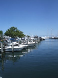 ꡼ No.017 | PS4ǡ֥롦֡ȥաפ꿼ڤि6ĤΥȥӥ٤ƤõԤȥѡ£롤ԥץåǺ