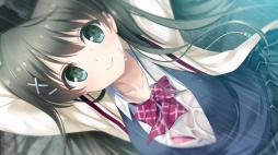 ꡼ No.023 | ֥ץOPࡼӡȺӲ֤󤬲Τơ޶ʤ