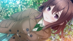 ꡼ No.024 | ֥ץOPࡼӡȺӲ֤󤬲Τơ޶ʤ