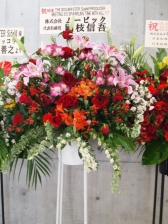 ꡼ No.078 | °ʬƤΥѥեޥ󥹤äTHE IDOLM@STER SideM PRODUCER MEETING2ݡ