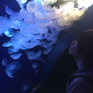 画像ギャラリー No.007のサムネイル画像 / AC版「グルーヴコースター」の稼動開始4周年を記念したトーク&DJイベントが11月4日に開催