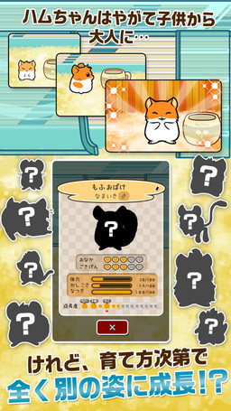 画像ギャラリー No.005のサムネイル画像 / ハムスター育成アプリ「ハムスターストーリー」の事前登録受付が開始