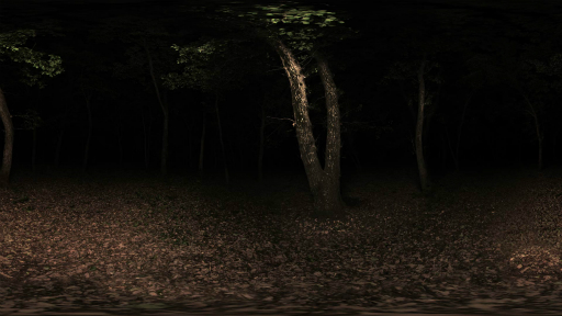 画像ギャラリー No.010のサムネイル画像 / 謎に包まれたPS VR向けホラー作品「眠れぬ魂」についてwise代表取締役の尾小山氏にインタビュー。ゲームとも映画とも違う新しい表現方法とは