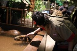 画像ギャラリー No.002のサムネイル画像 / 「アニドルカラーズ」の声優テレビ番組「寺島惇太お兄さんのアニドルといっしょ!」が4月22日から放送開始