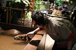 画像ギャラリー No.002のサムネイル画像 / 「アニドルカラーズ」のテレビ番組「寺島惇太お兄さんのアニドルといっしょ!」のDVD/CDが発売決定。発売記念イベントも開催