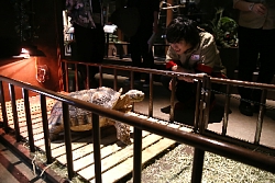 画像ギャラリー No.003のサムネイル画像 / 「アニドルカラーズ」のテレビ番組「寺島惇太お兄さんのアニドルといっしょ!」のDVD/CDが発売決定。発売記念イベントも開催