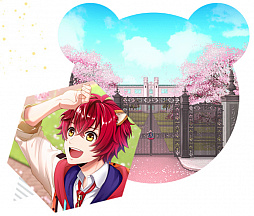 ꡼ No.008 | ֥˥ɥ륫顼 奢ơפεܡСɲå㥹ȤȯɽåȤΥץԼդ61