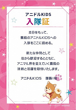 ꡼ No.006 | ֥˥ɥ륫顼סͥƥȡȻΥ˥ɥȤä硪 2ndDVD2ȯ