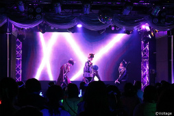 ꡼ No.005 | 齩ڤˡ˥ɥ륫顼 奢ơClarity Showcase Live Blu-ray Ϫǲͤݡ