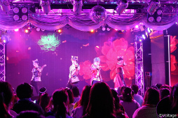 ꡼ No.008 | 齩ڤˡ˥ɥ륫顼 奢ơClarity Showcase Live Blu-ray Ϫǲͤݡ