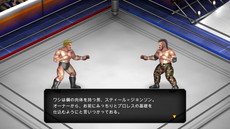 ꡼ No.007 | FIRE PRO WRESTLING WORLDפΥ꡼ǤSteamǥ꡼¿̤ʥ롼λ䥪饤ڤ