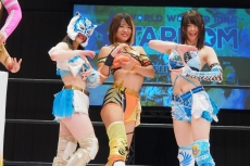 ꡼ No.002 | ֥ե䡼ץ쥹 ɡפȽҥץ쥹Ρ֥ץܤΥˡ®󡣼̾Ͽ10̾餫