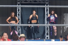 ꡼ No.004 | ֥ե䡼ץ쥹 ɡפȽҥץ쥹Ρ֥ץܤΥˡ®󡣼̾Ͽ10̾餫