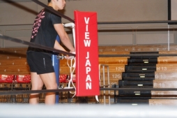 画像ギャラリー No.014のサムネイル画像 / レスラーの実名収録に一切の後悔なし! PS4版「ファイヤープロレスリング ワールド」の現状とこれからを,松本総監督に聞いた