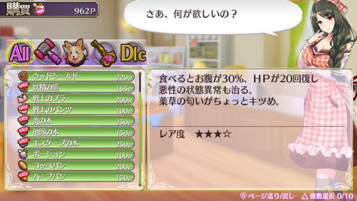 ꡼ No.005 | ɥ饤뤤֥ᥬӥZפϳڤǤRPG