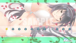 ꡼ No.019 | ֥ᥬӥZPS4PS Vitaѥ饽ꥷƥơޤۿ