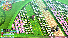 ꡼ No.013 | ǥ꡼ѥ֥å㡼դRPG֥ᥬӥZפBESTǤ214˥꡼