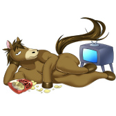 ���������꡼ No.012�Υ���ͥ������ / ��ڤ����ǳڤ�����˥󥰥��������֥Хǥ����ʡ��פ��ۿ�����