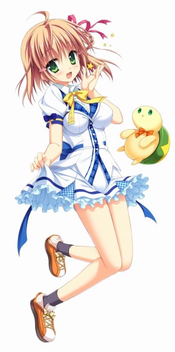 ꡼ No.005 | ɥ٥㡼֥ޥ륫פ629ȯ䡣Ȥ򥪡ץ