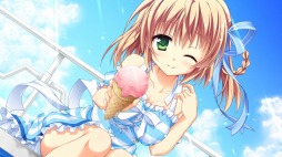 ꡼ No.013 | ɥ٥㡼֥ޥ륫פ629ȯ䡣Ȥ򥪡ץ