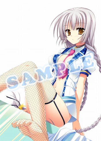 ꡼ No.013 | ֥ޥ륫סǥ饹ȡŹŵ饹Ȥ