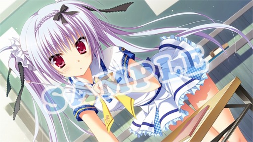 ꡼ No.018 | ֥ޥ륫סǥ饹ȡŹŵ饹Ȥ