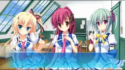 ꡼ No.005Υͥ / ɥ٥㡼֥ޥ륫*פθǤۿ