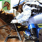 �ѥå�����