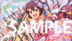 ꡼ No.005Υͥ / ֥ߥꥷסָꥤ٥ȡ֥ץʥfruity loveפ