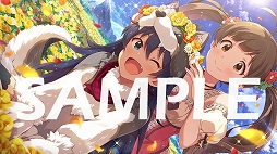 ���������꡼ No.014�Υ���ͥ������ / �֥ߥꥷ���ס����٥�ȡ֥ץ���ʥ������������� ��Girl meets Wonder���פ�����