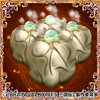 ꡼ No.003Υͥ / BRAIN VALKYRIES סǽפᥤ󥯥Ȥˡ¹ɲ